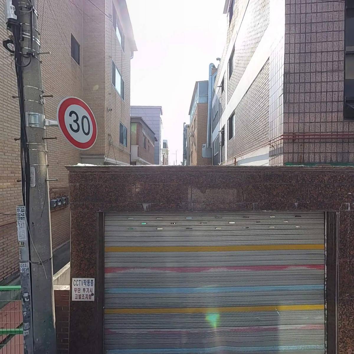월수금통돼지