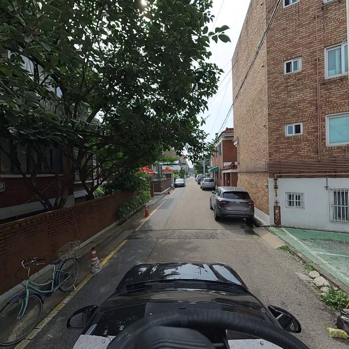 카모아_4