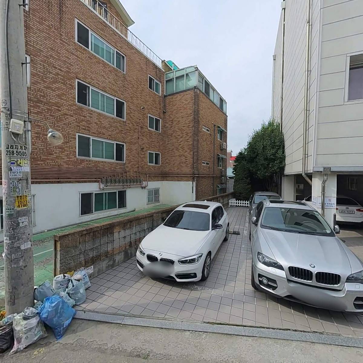 카모아