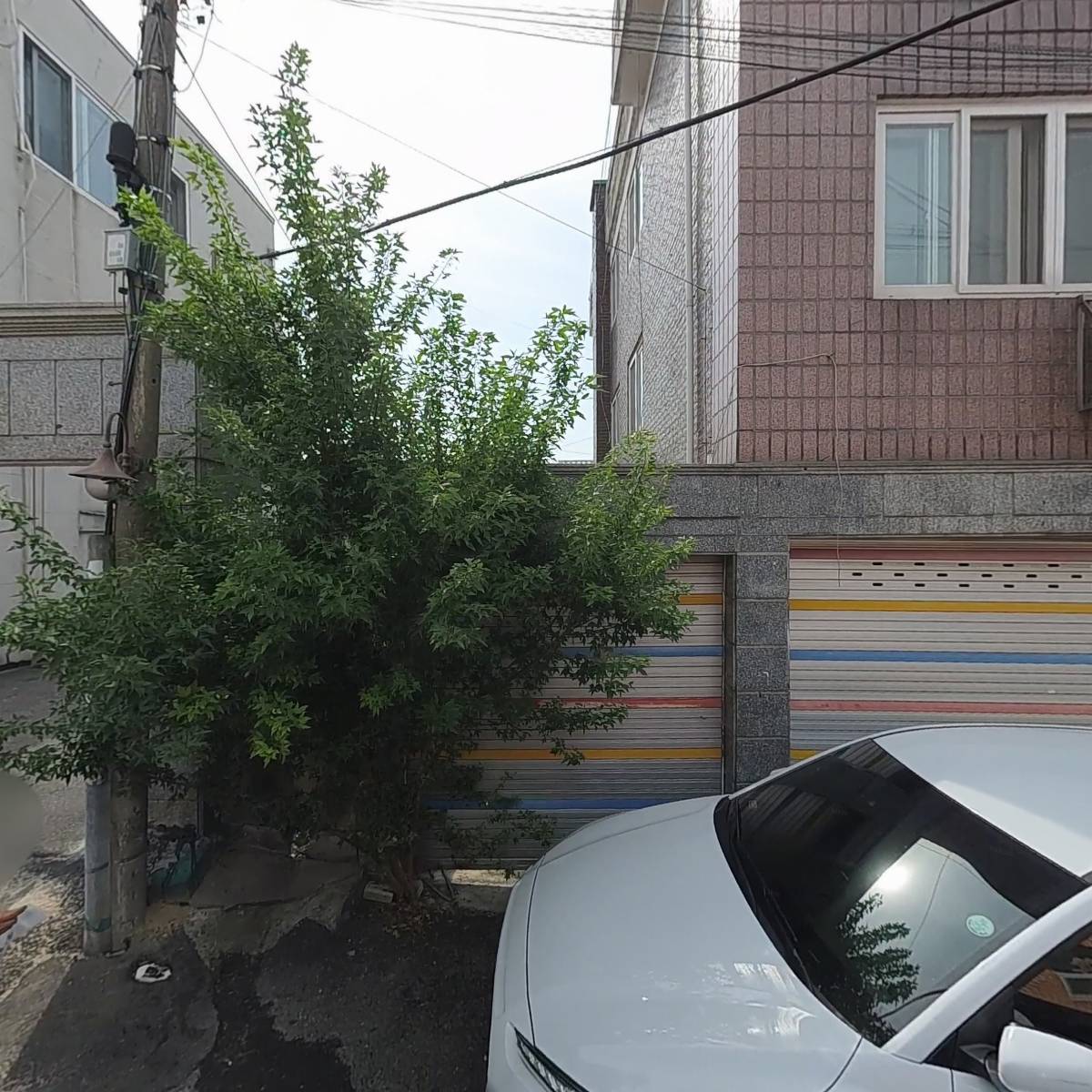 비너스홈