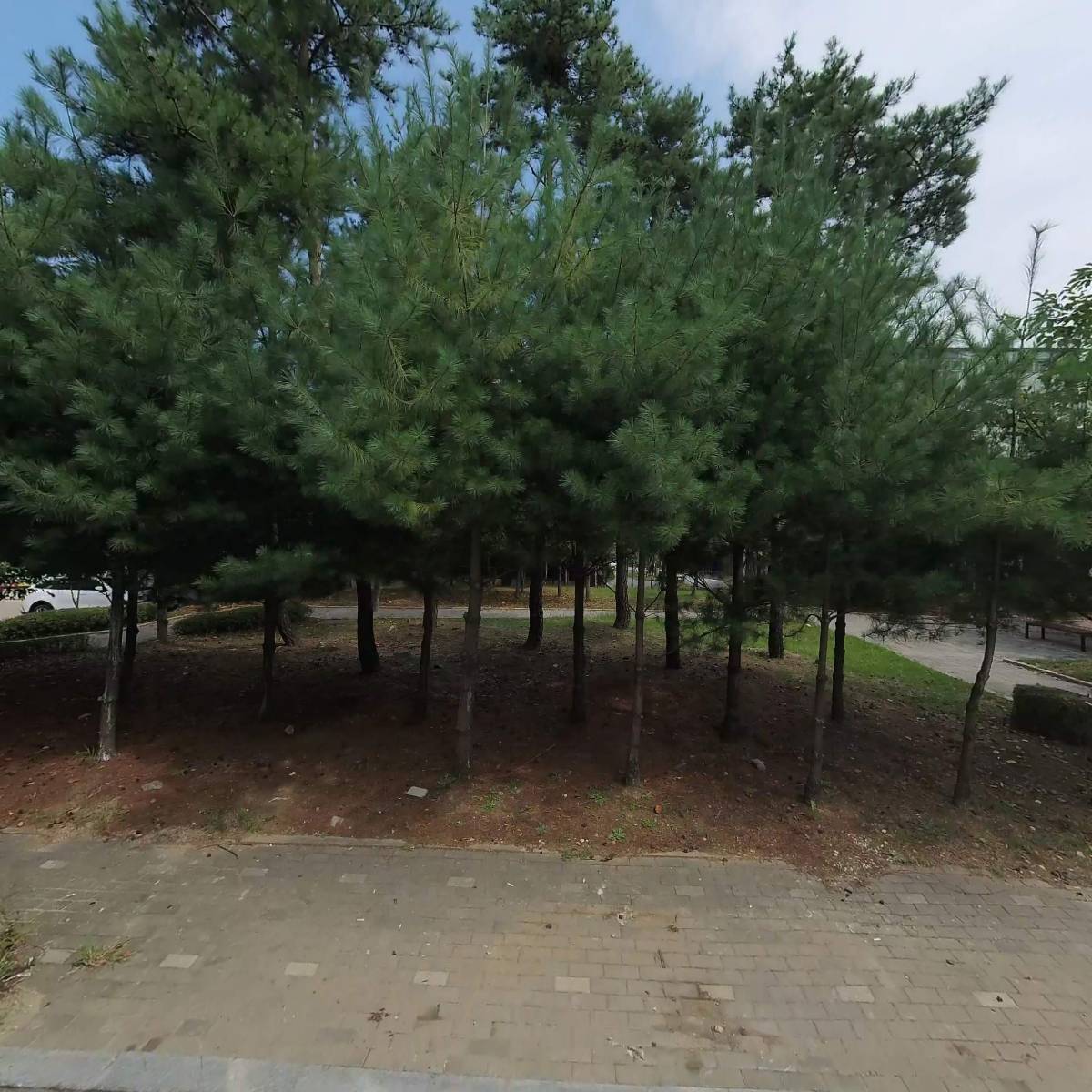 양촌리 돈까스