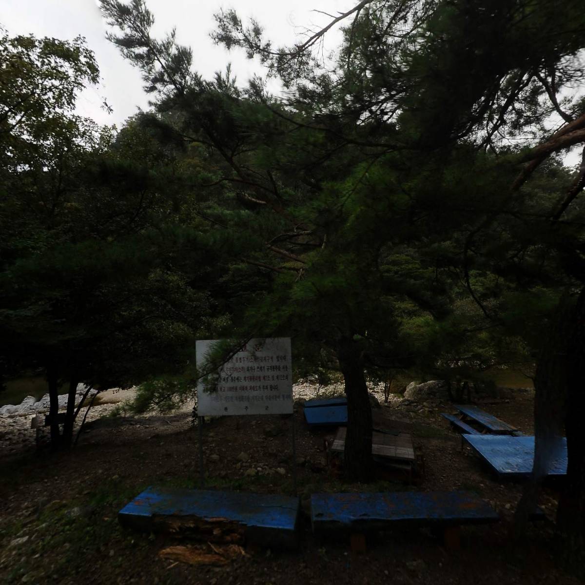 왕소나무집