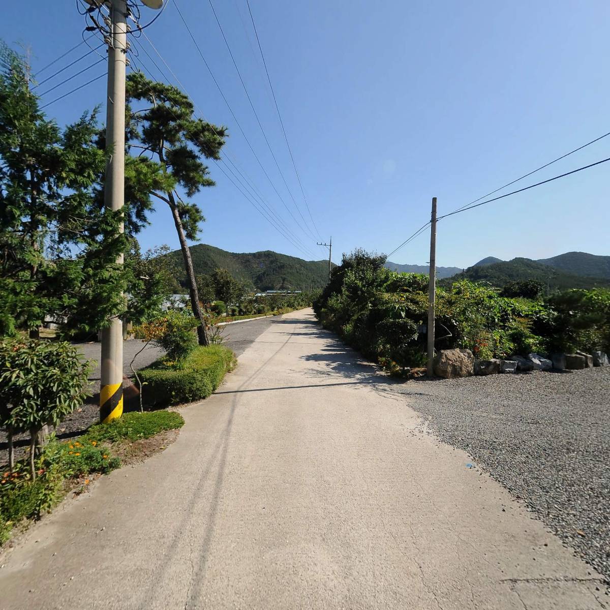 솔밭_2