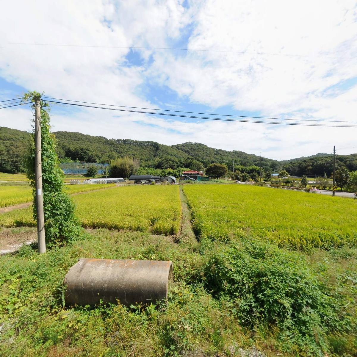 홍수학 교습소