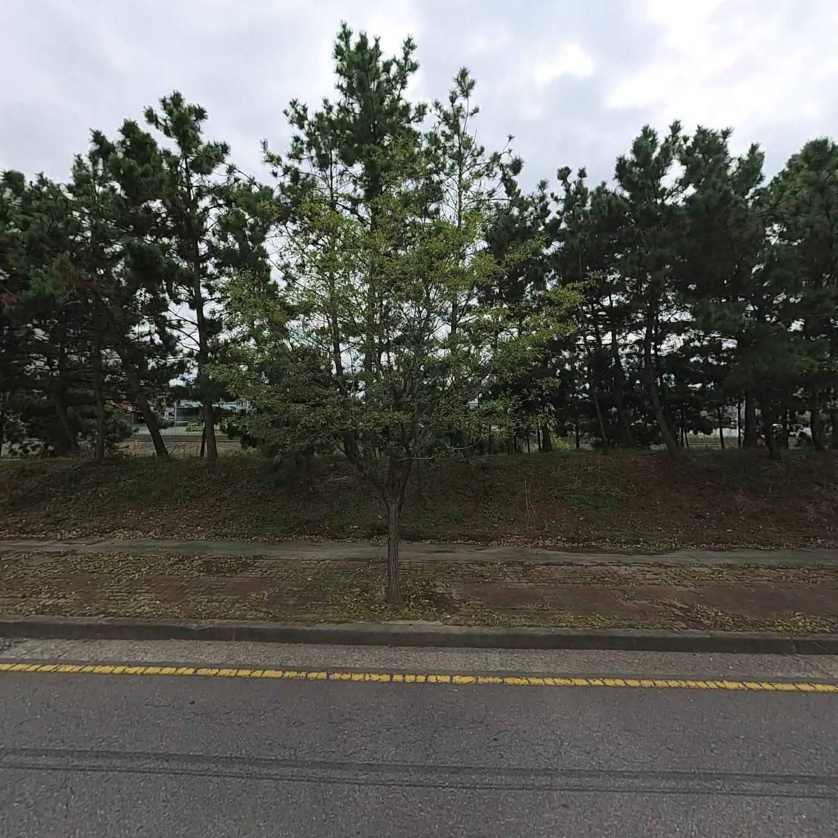 하나인력_풍림파마텍內