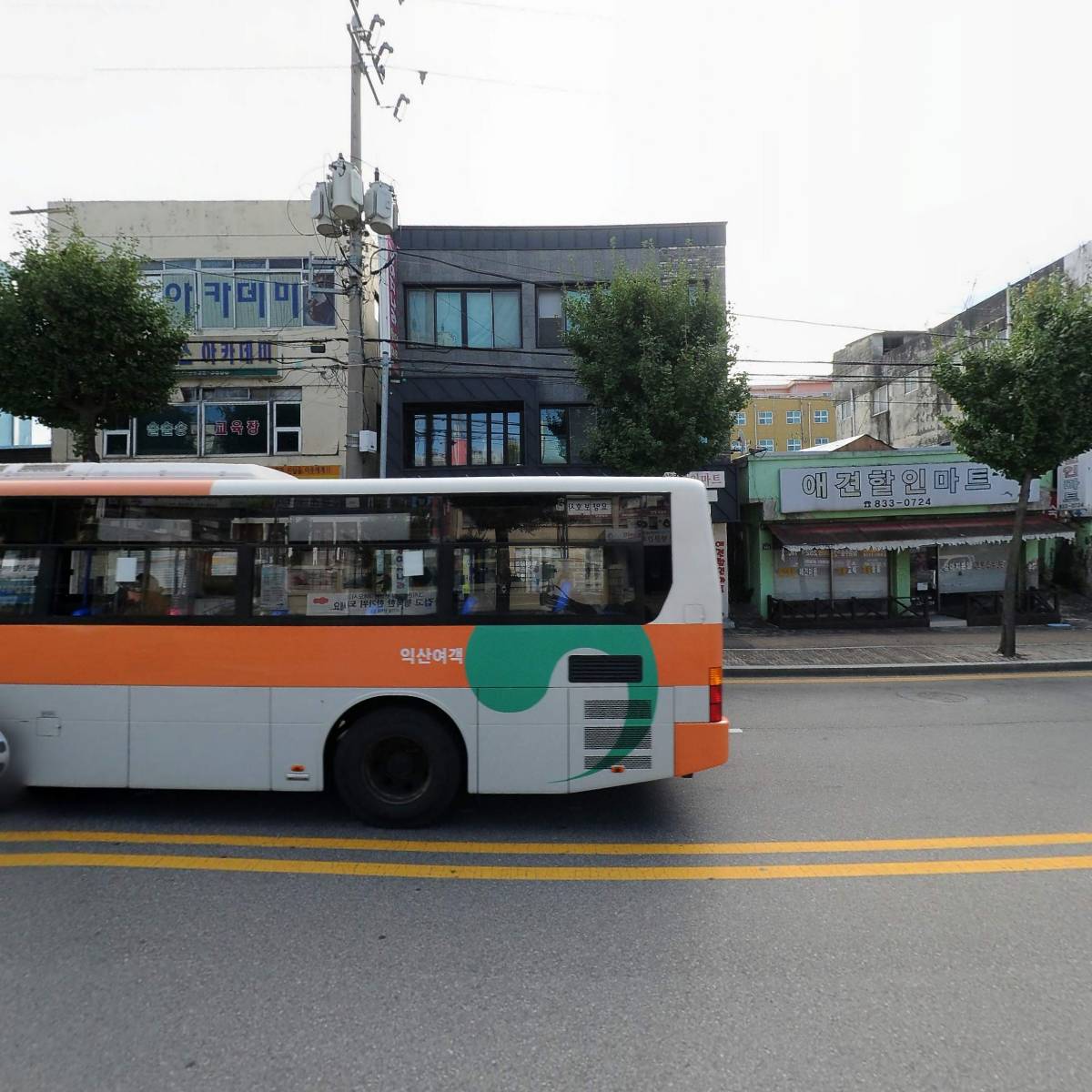 강아지나라 강아지분양 익산점_3