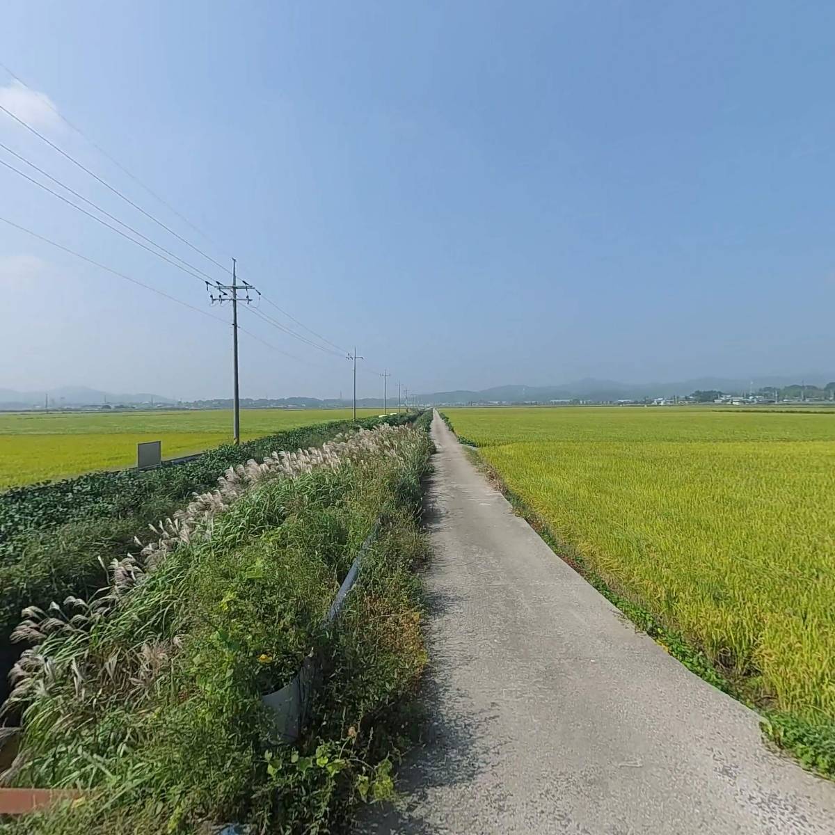 동아식품