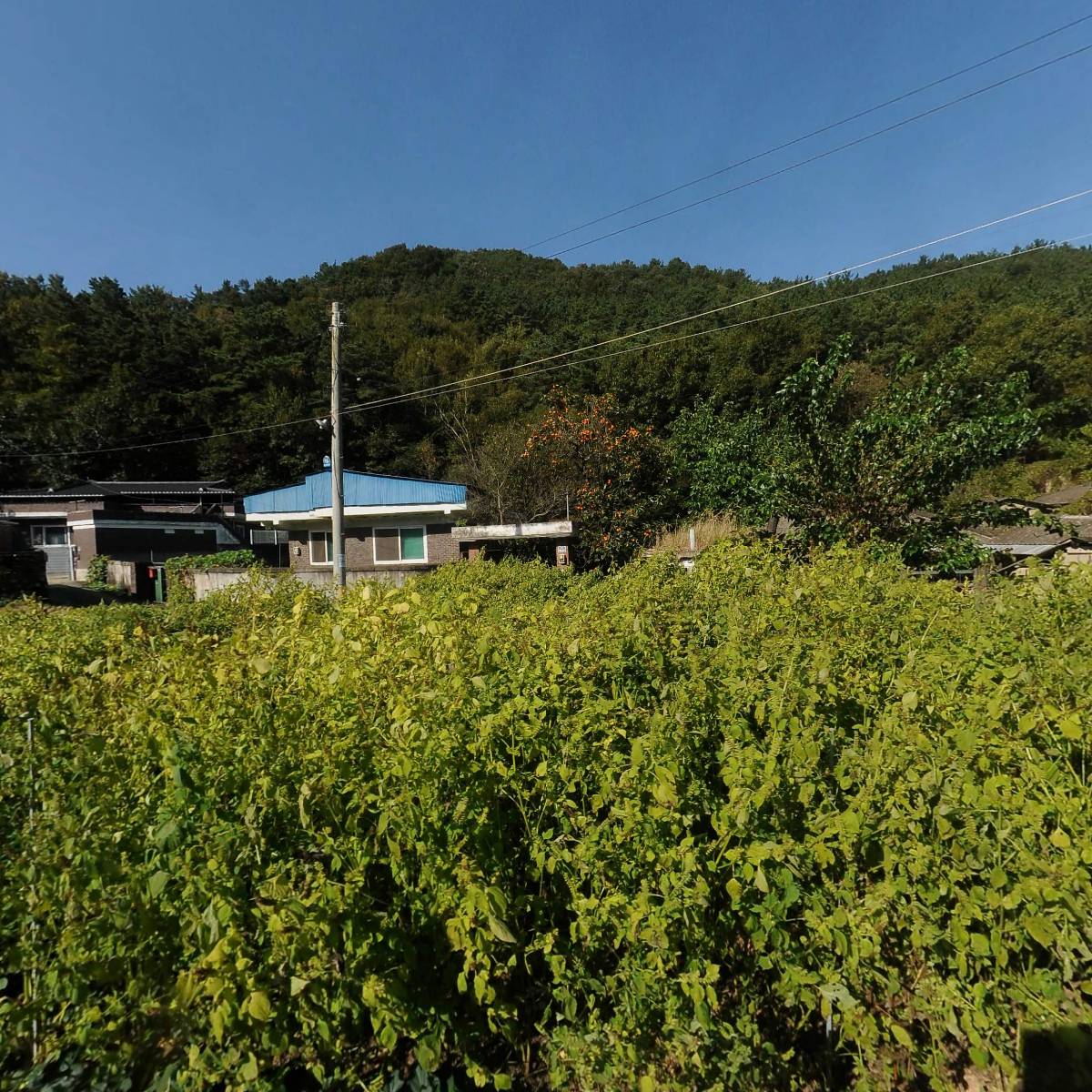 소꿈사 사회적협동조합