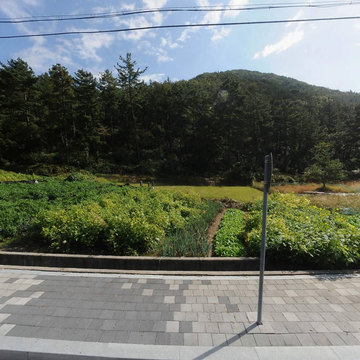 정심원(사회복지법인 송광)