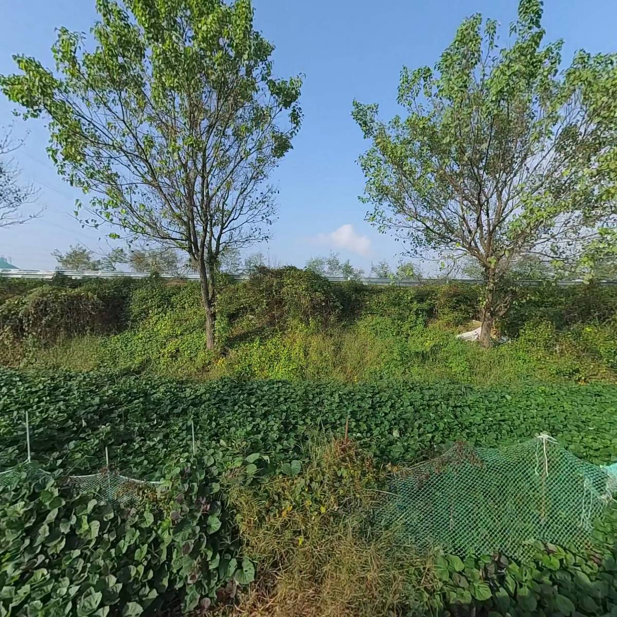 (주)군산동양해외관광