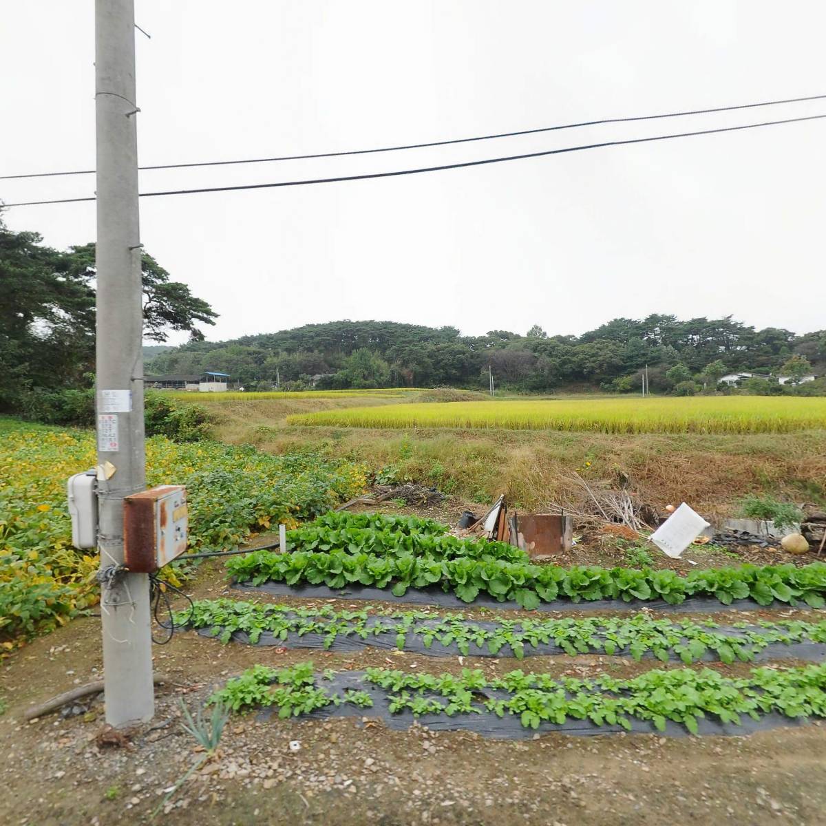 거성수산