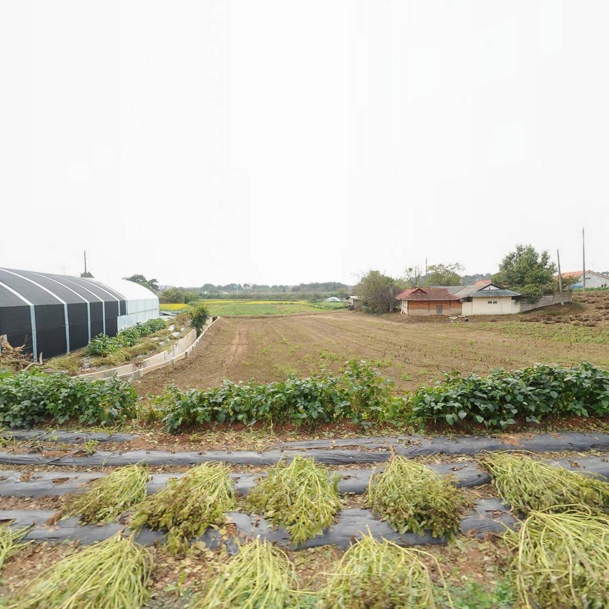 주식회사 더이앤이솔루션_3