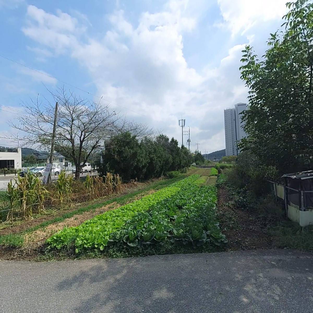 스윙 인 스타일러스_3