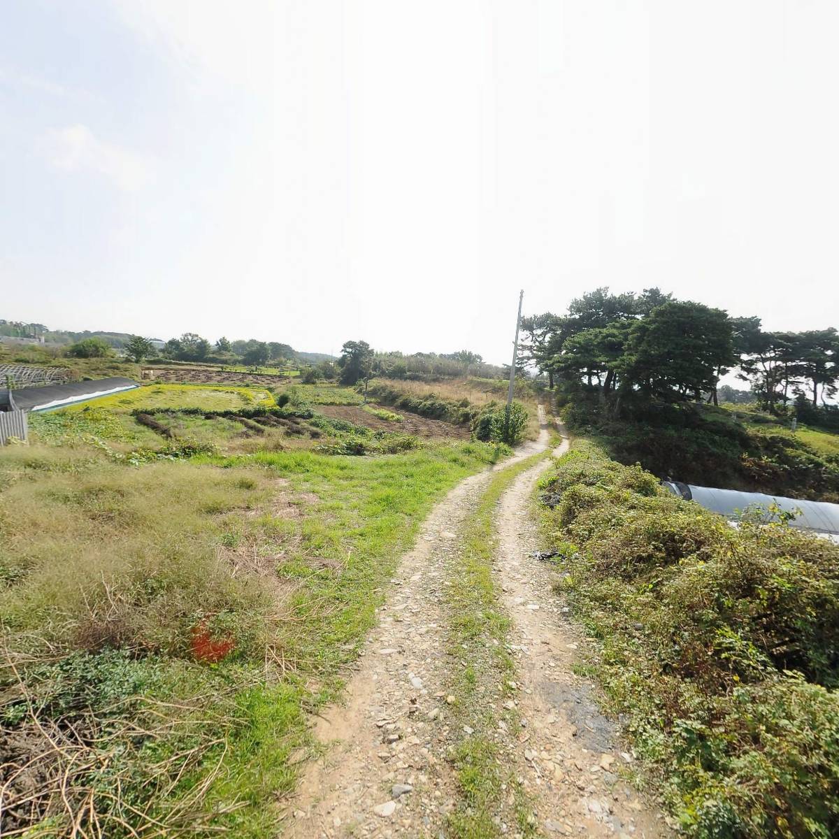 주식회사 나성_2