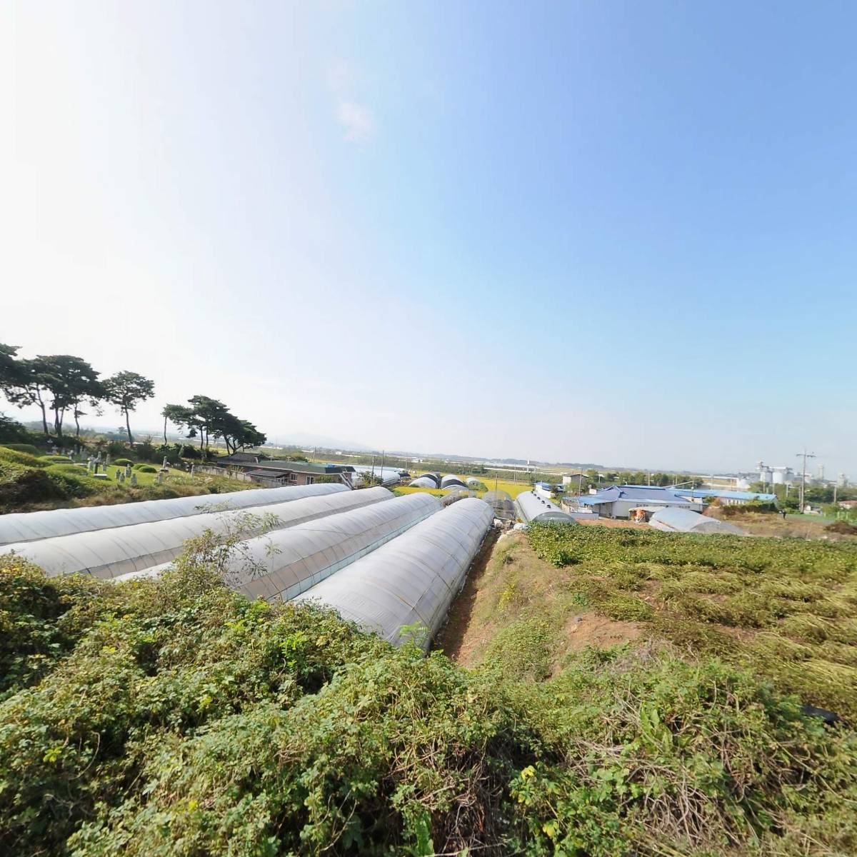 주식회사 나성_3