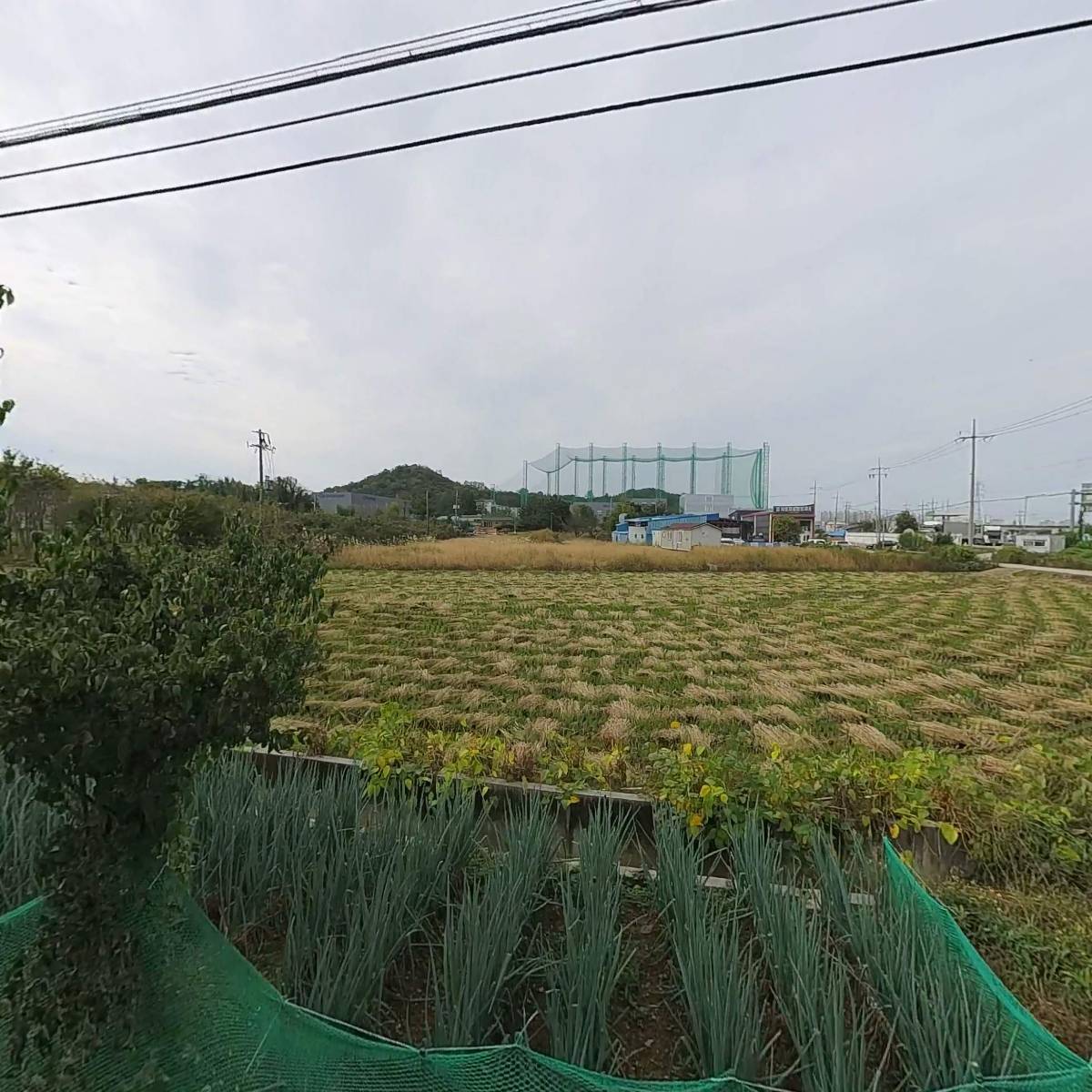 대한샤링공업사