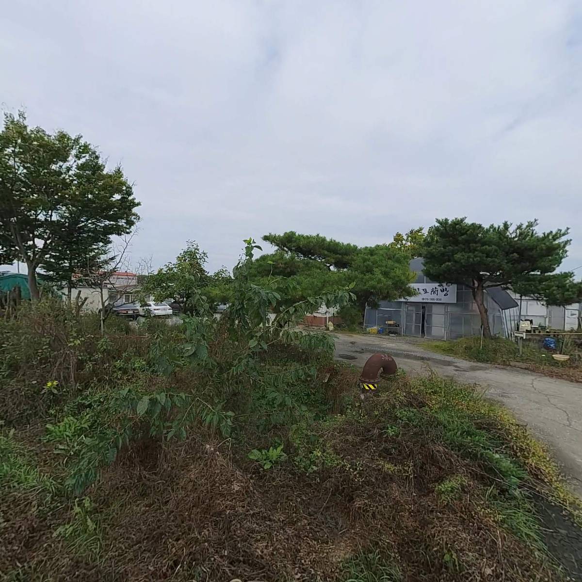 난의인연