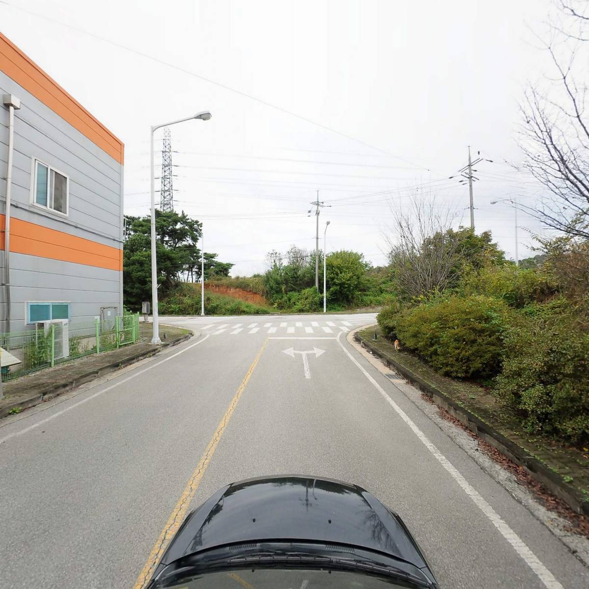 (주)동강홀딩스 딤채식품_4