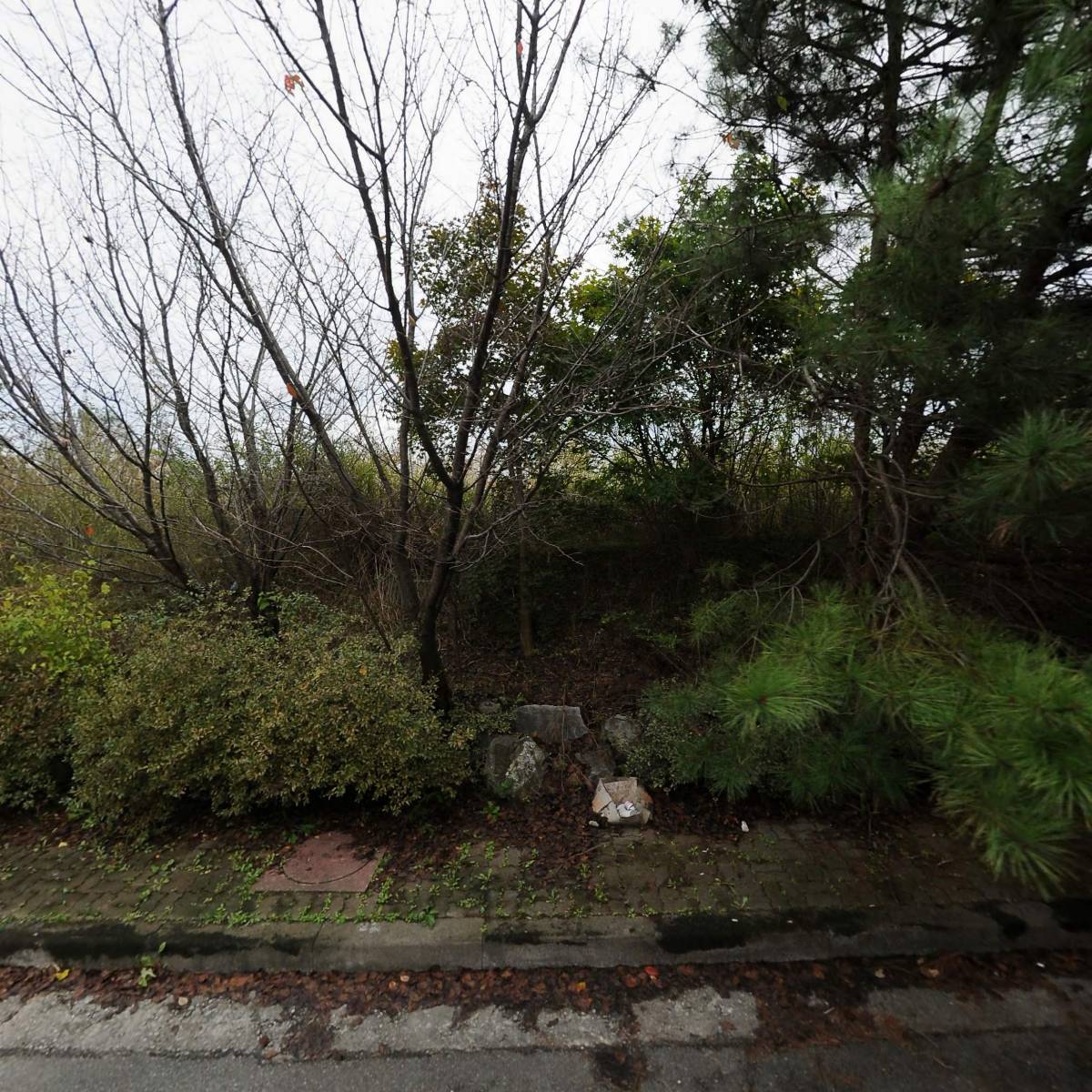 (주)동강홀딩스 딤채식품