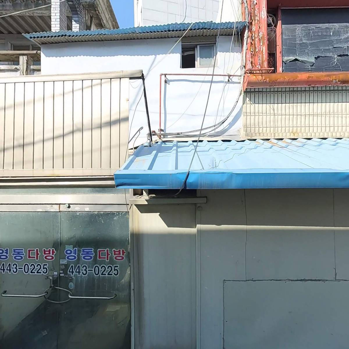 인셀덤 닛시_3