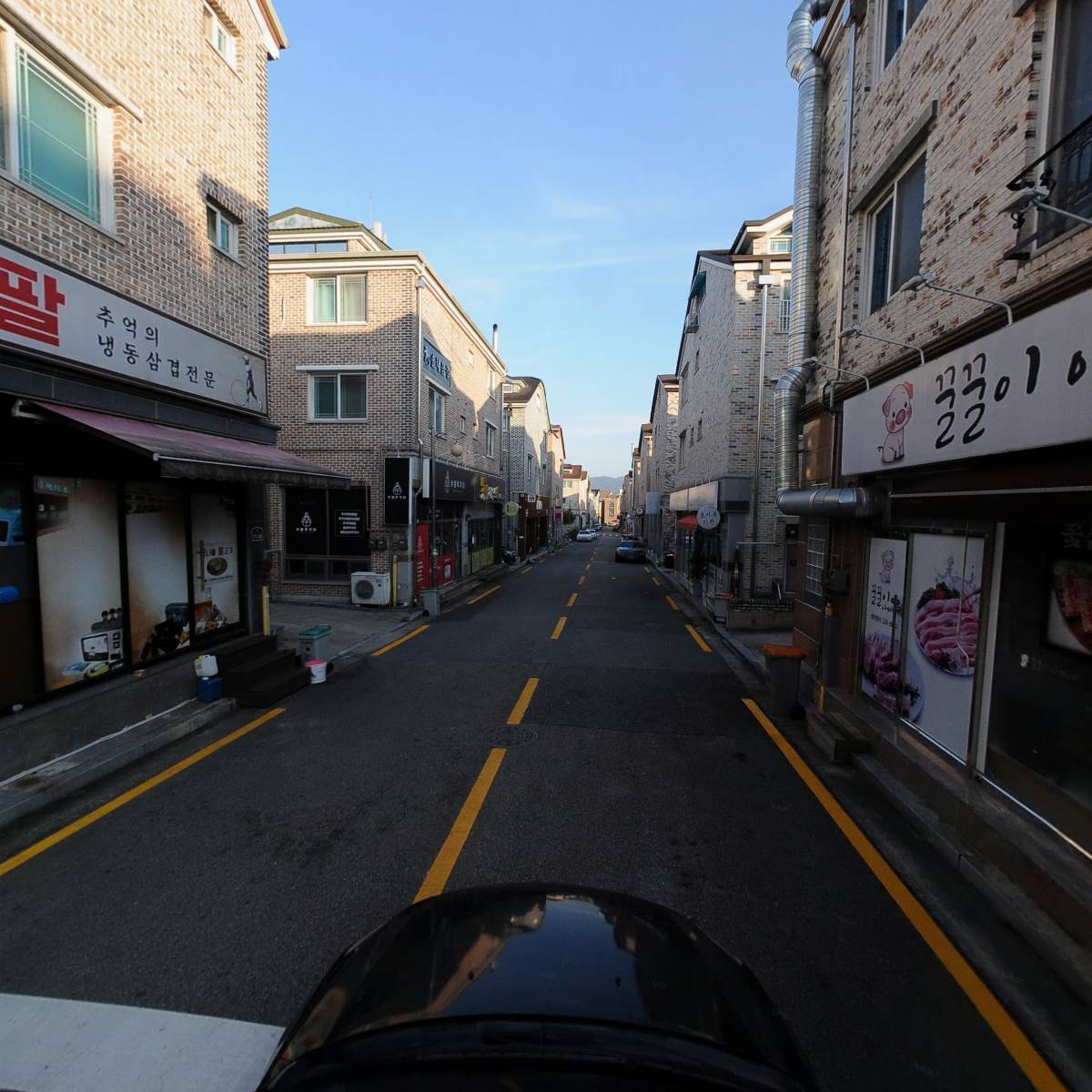 꼴똥갈매기_4