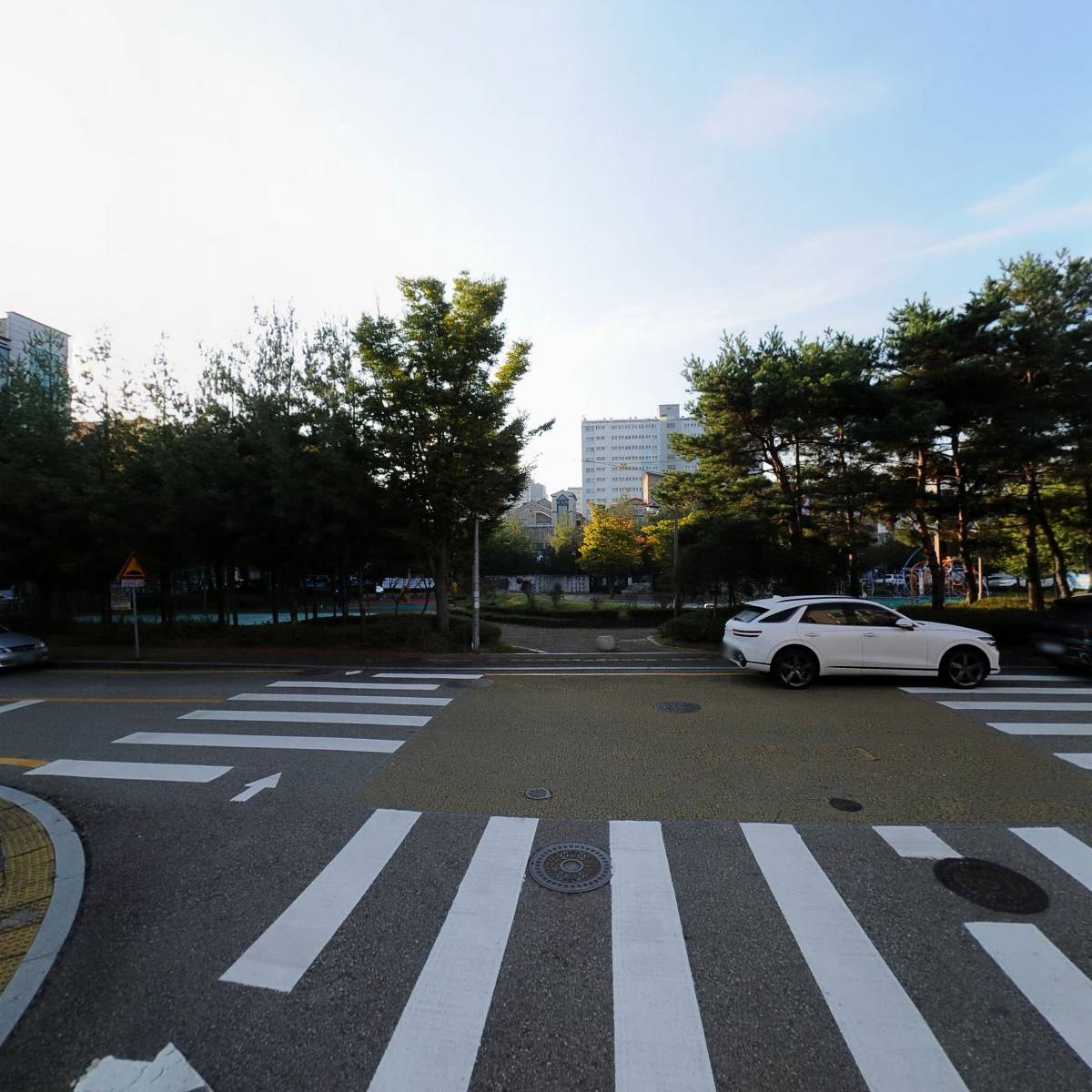 꼴똥갈매기_2