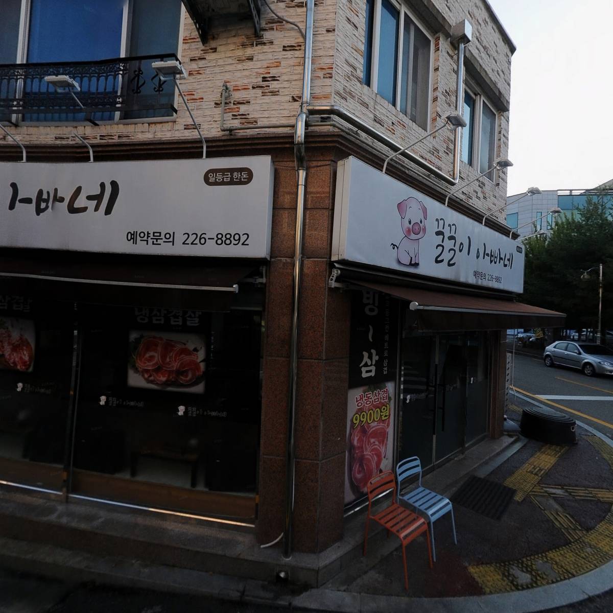 꼴똥갈매기