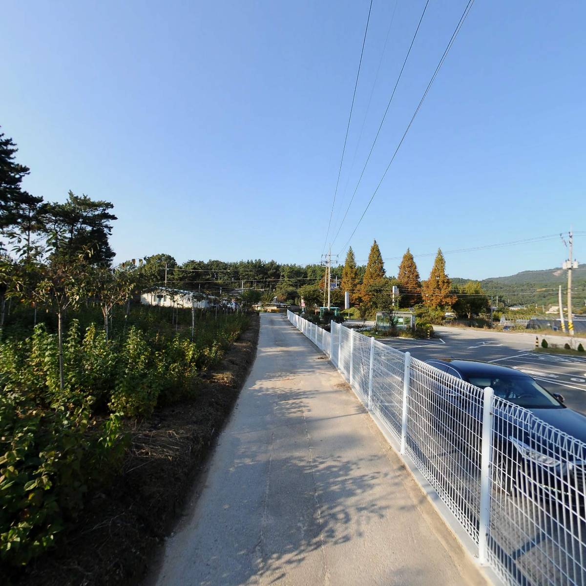 엔제리너스커피(익산미륵산점)_2