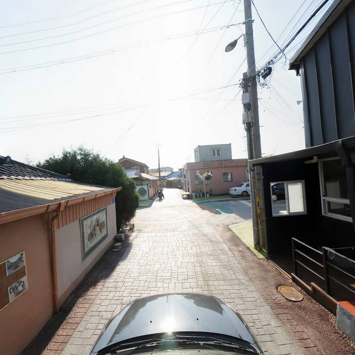삼부자정육돈돼지돈_4