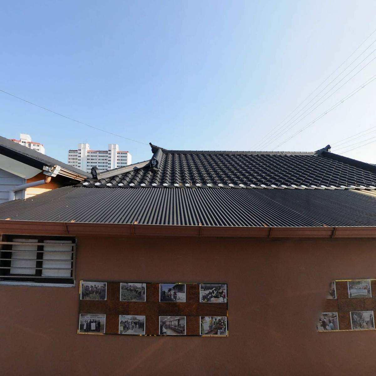 삼부자정육돈돼지돈_3
