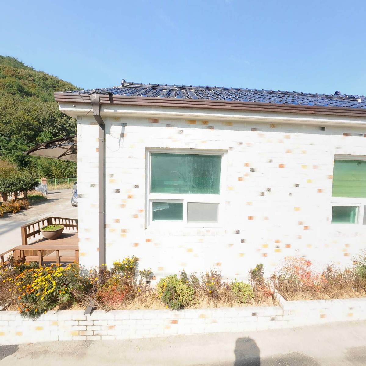 청와_3