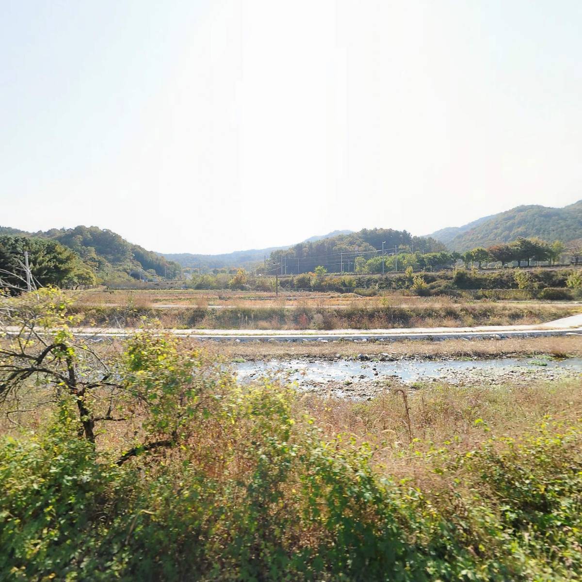 사단법인 대한선불교 조계종 비로사