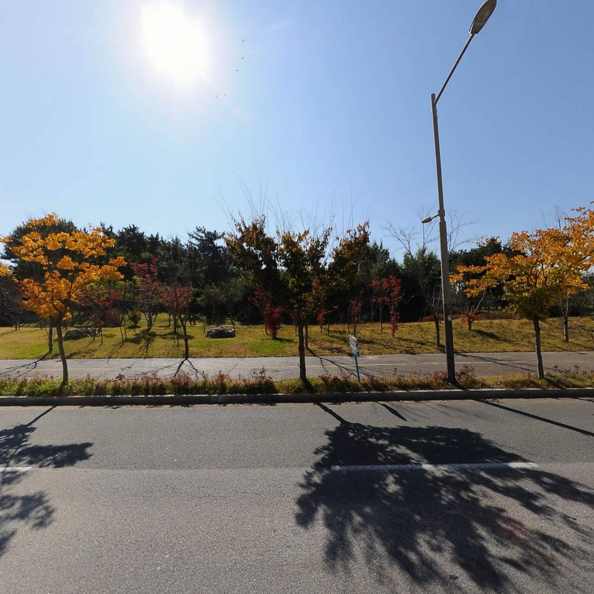 서전주돌판오징어_3