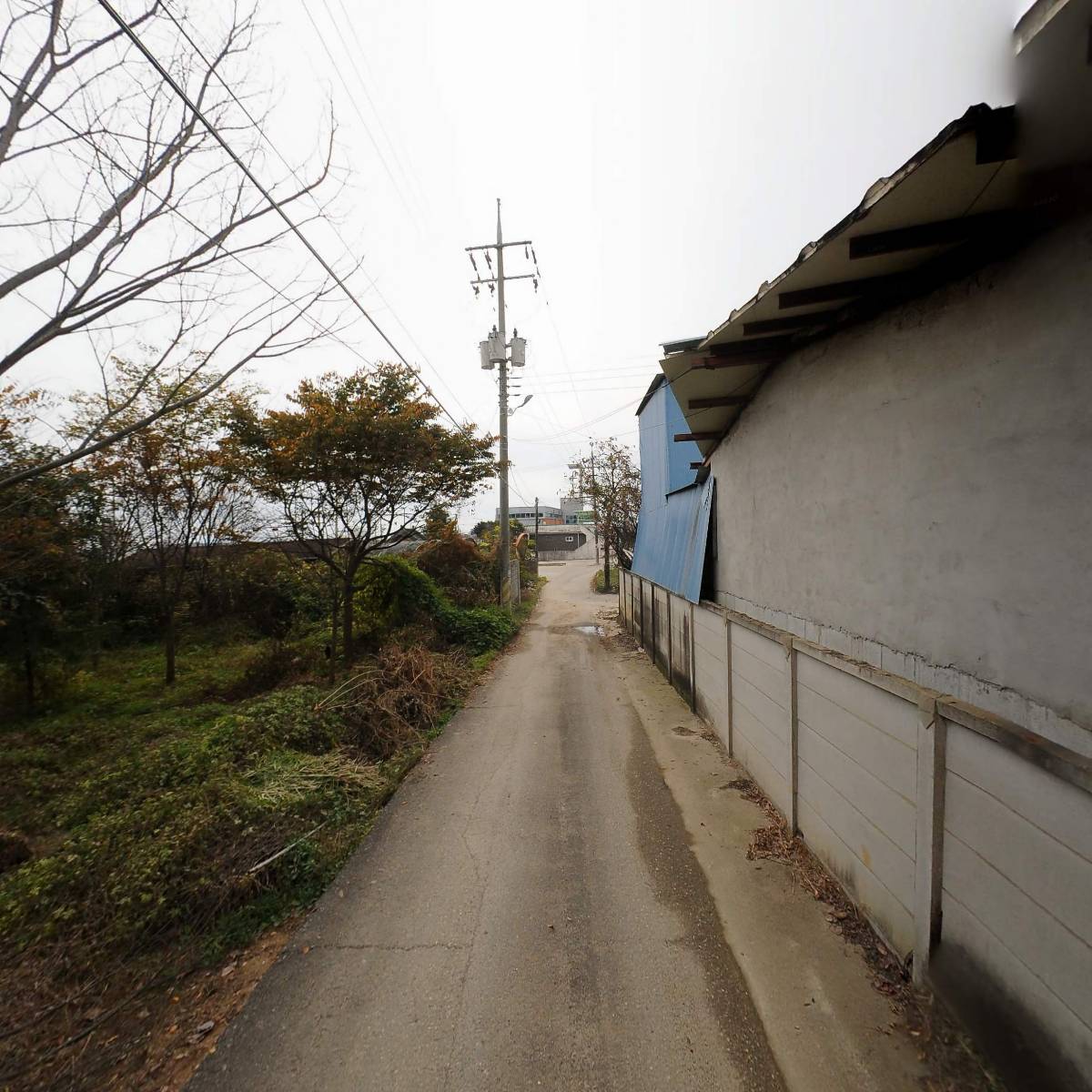 마마영농조합법인_2