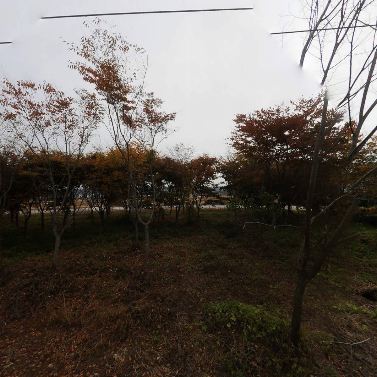 마마영농조합법인