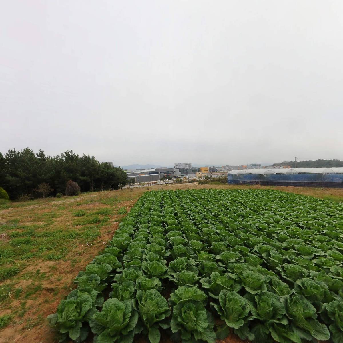 동양파일(주)익산공장