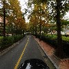 사단법인 쌍백합회_4