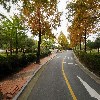 사단법인 쌍백합회_2