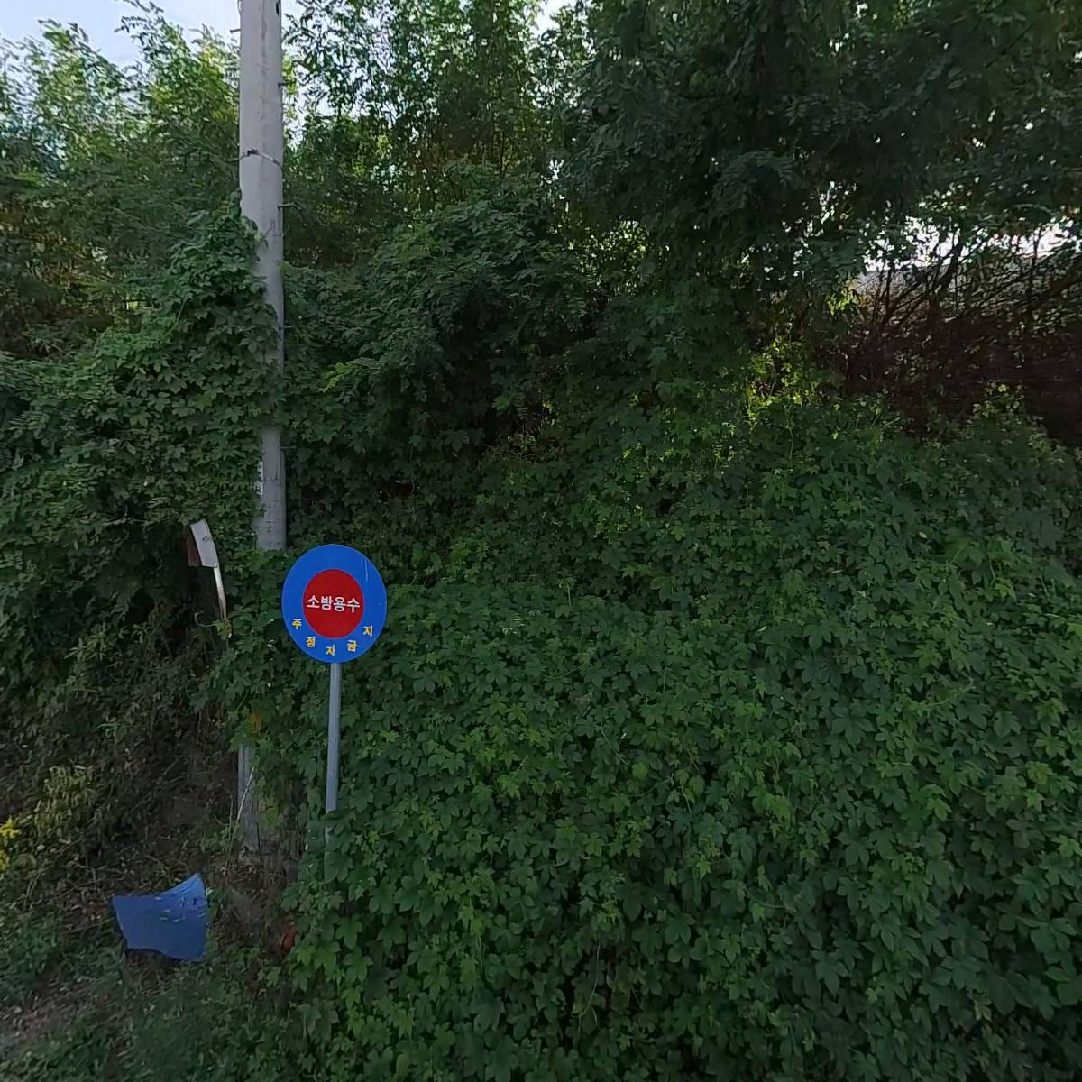 세보섬유(주)