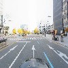 첼리나_4