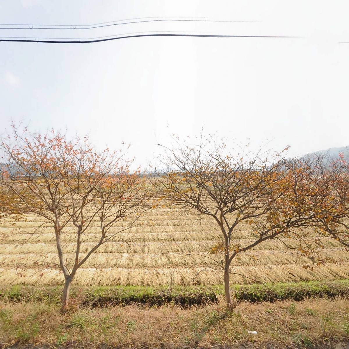 김옥수 분청사기 명장전시관