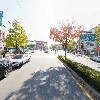 365웃장대형약국_2