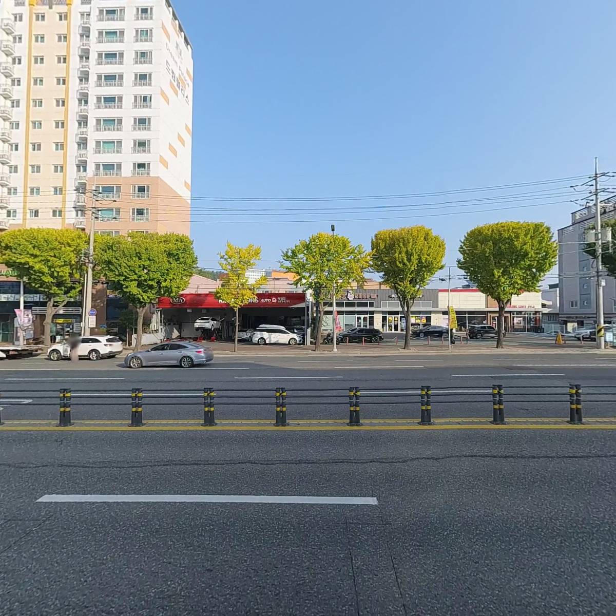 동강지류_3