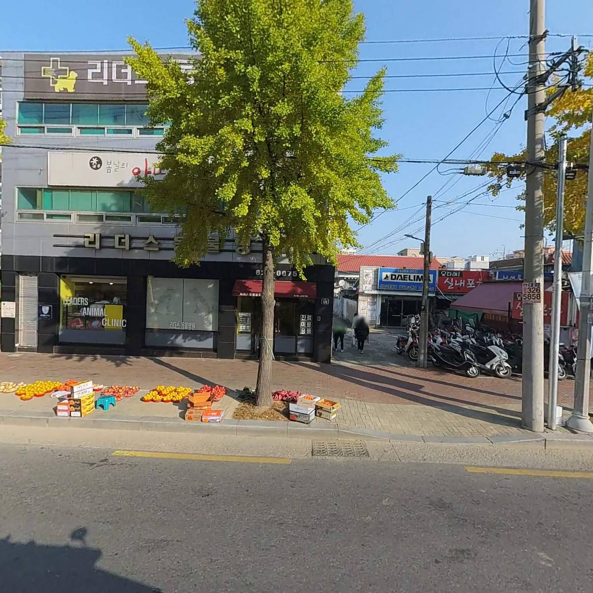 리더스동물병원
