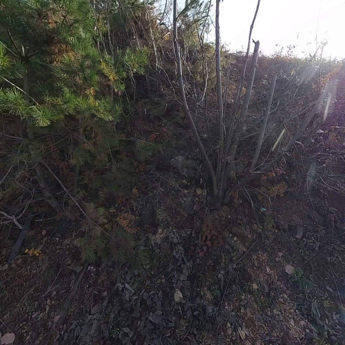 주식회사 산_3