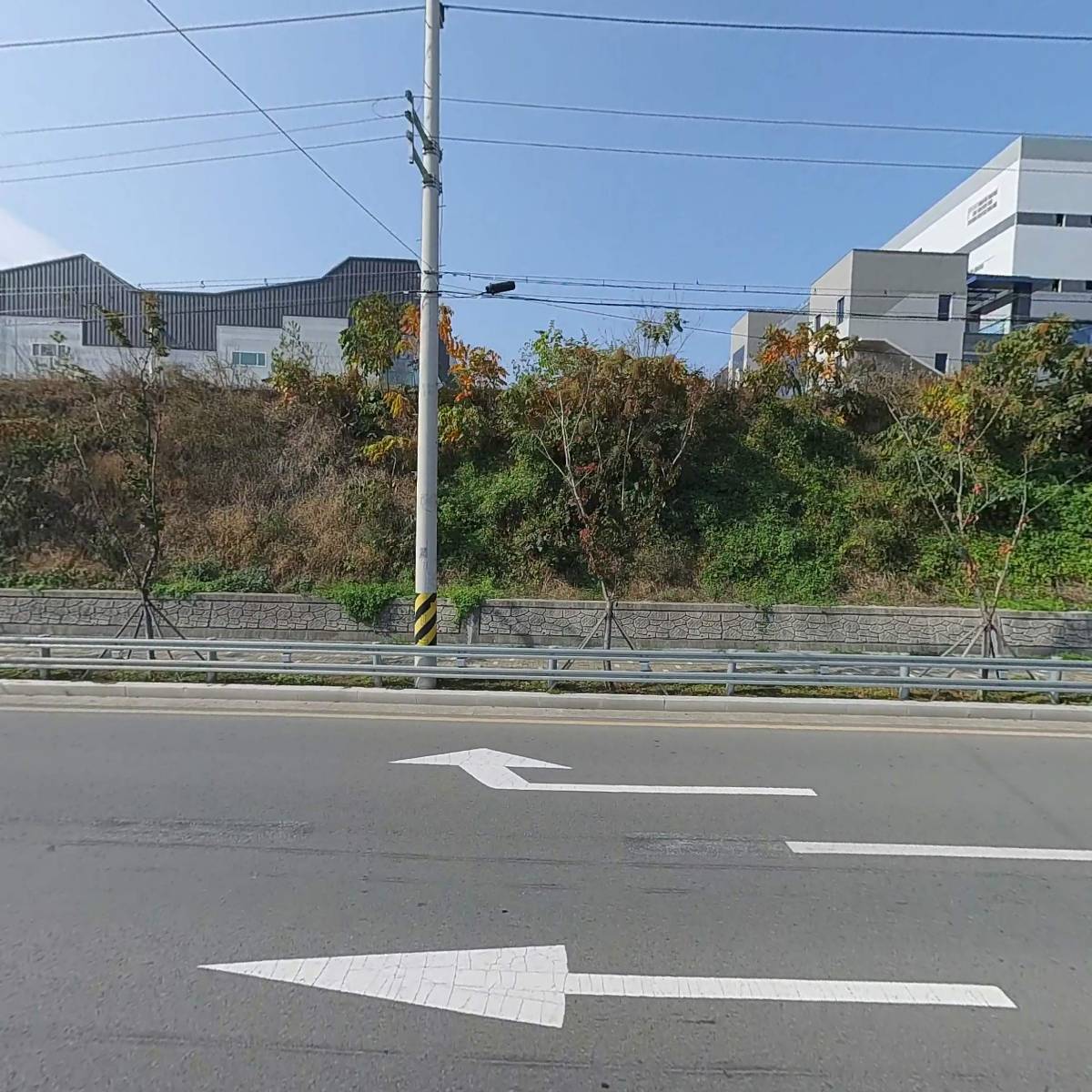식자재대통령