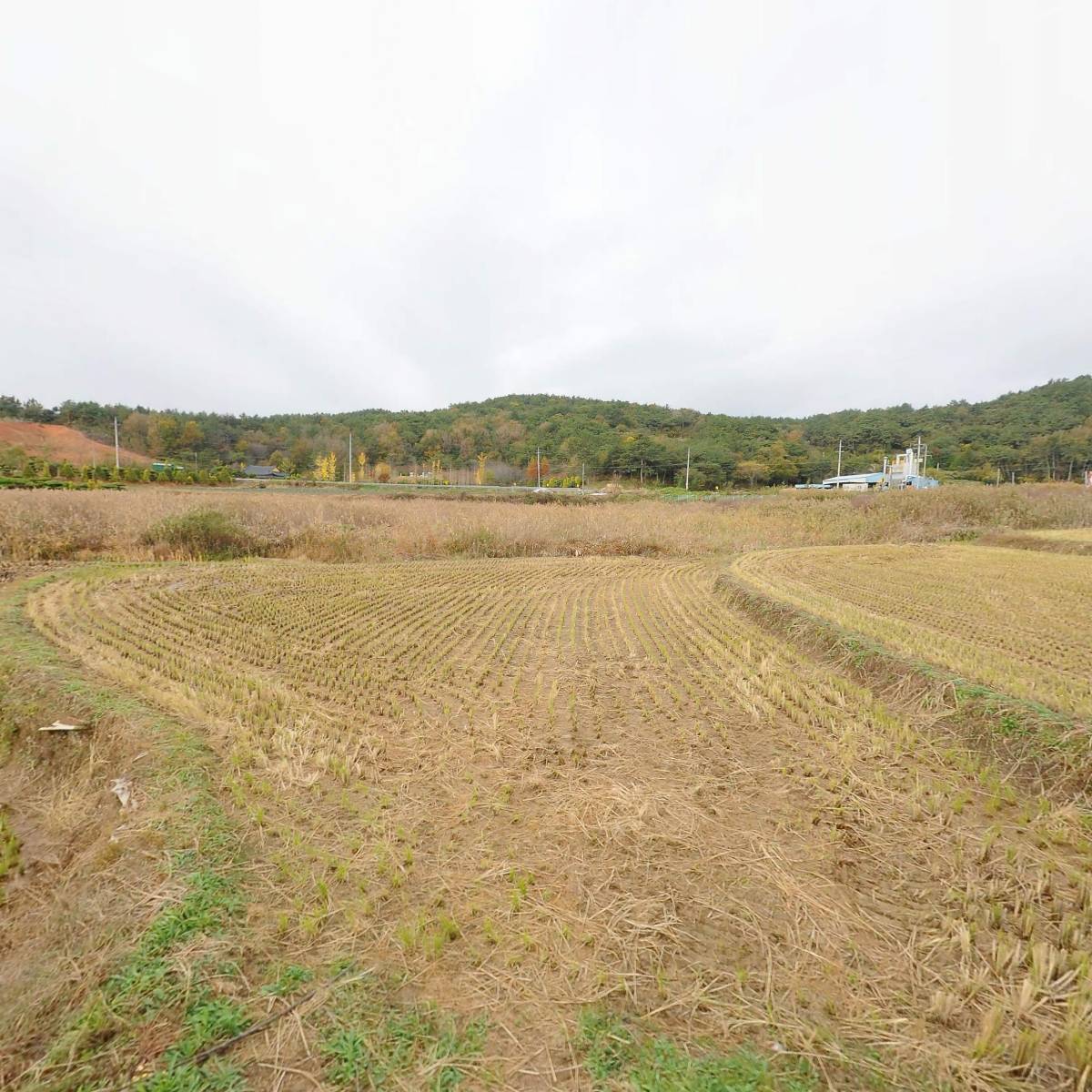 농업회사법인진이성찬연산순대국밥(주)_3