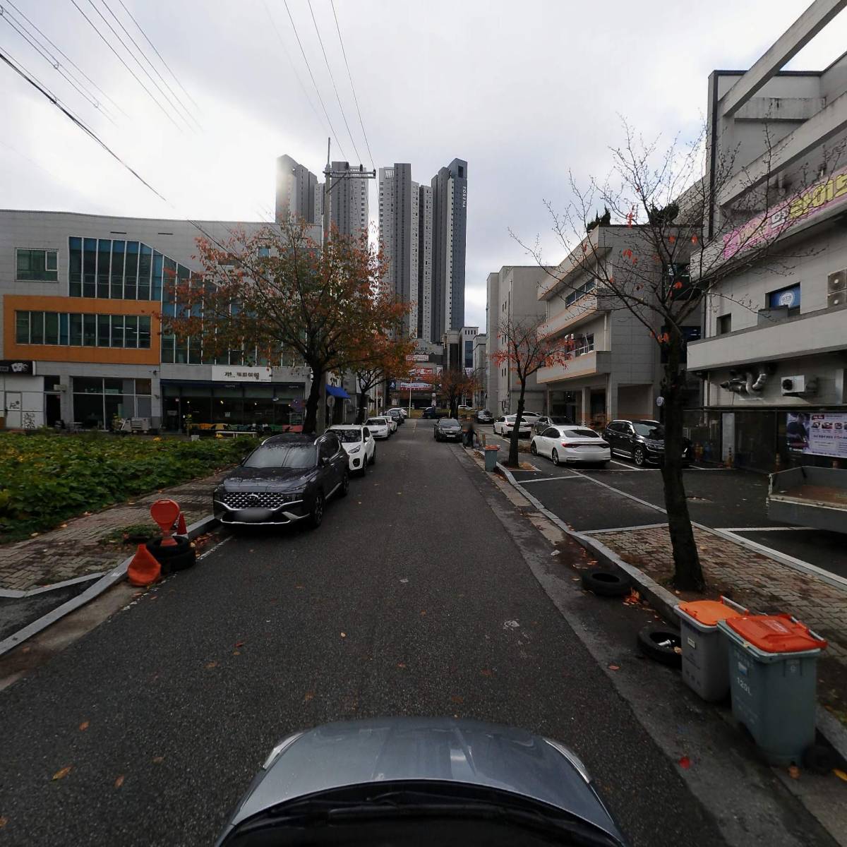 참한우_4