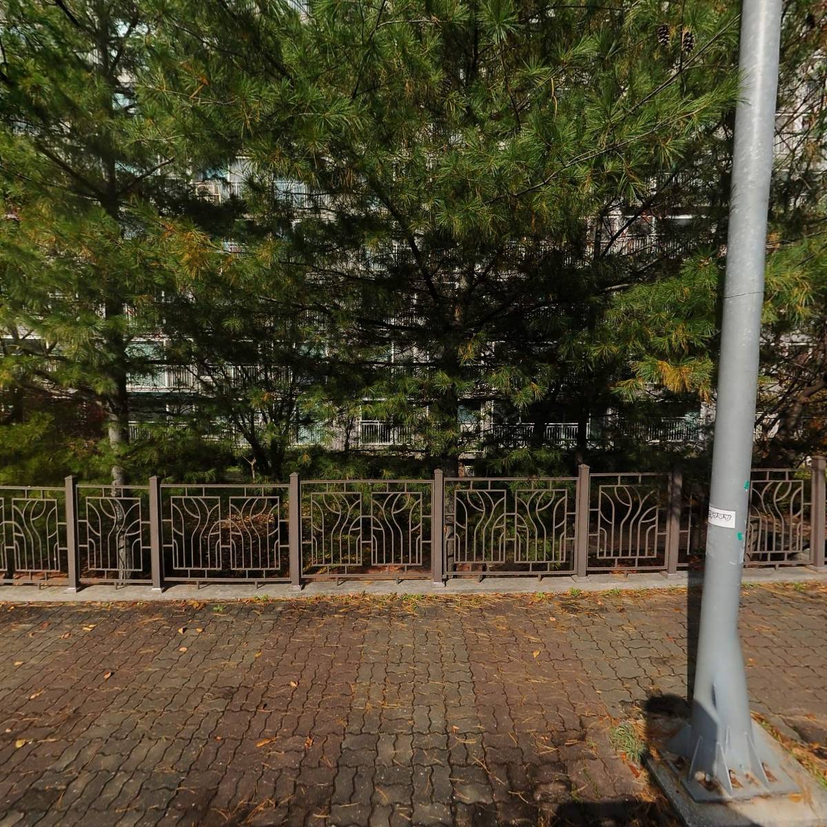 쑥쑥이유식_3