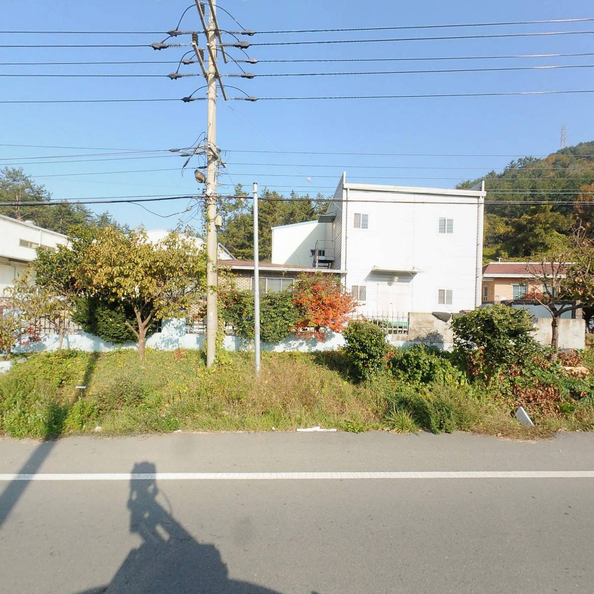 홍도식품_3